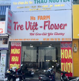 Hoa Tươi Tre Việt | Hoa Tươi Thủ Đức | Đặt Hoa Online 24h