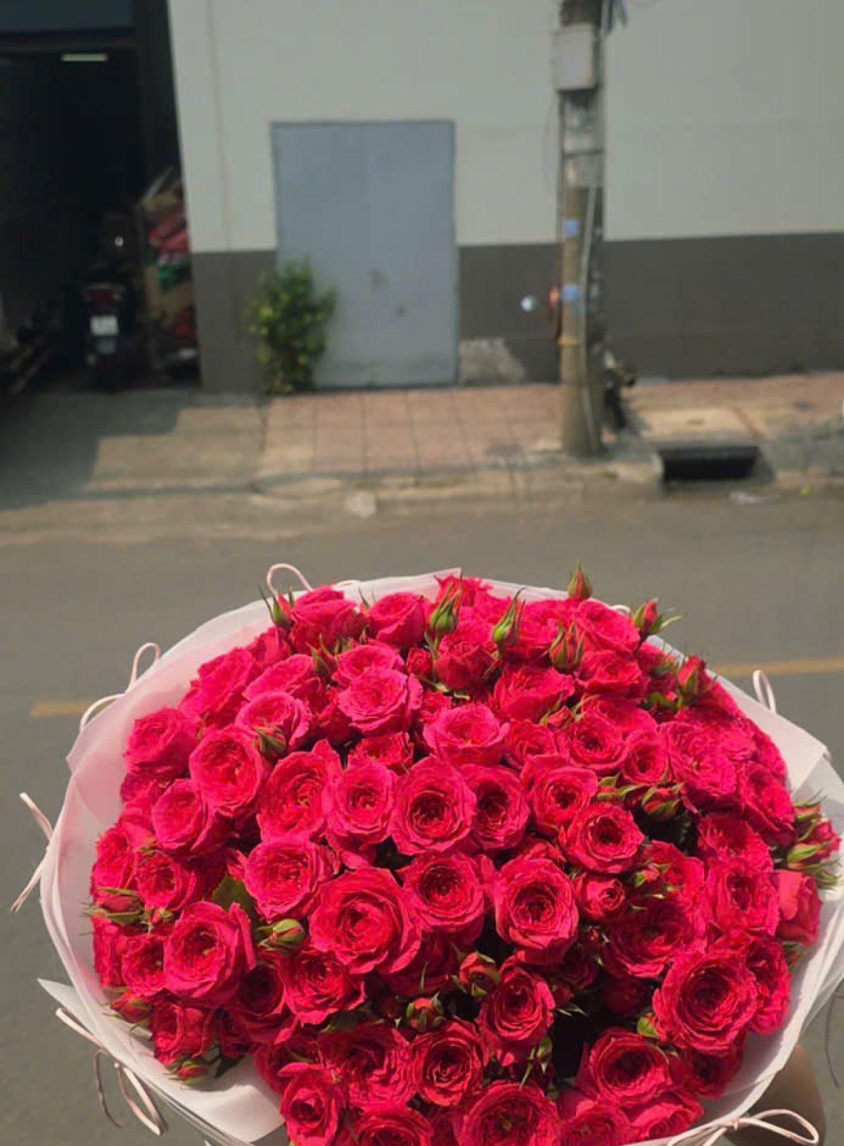 Hoa tươi - Hoa Giỏ - Hoa Bó Mẫu (TVF-HG-HB-030)