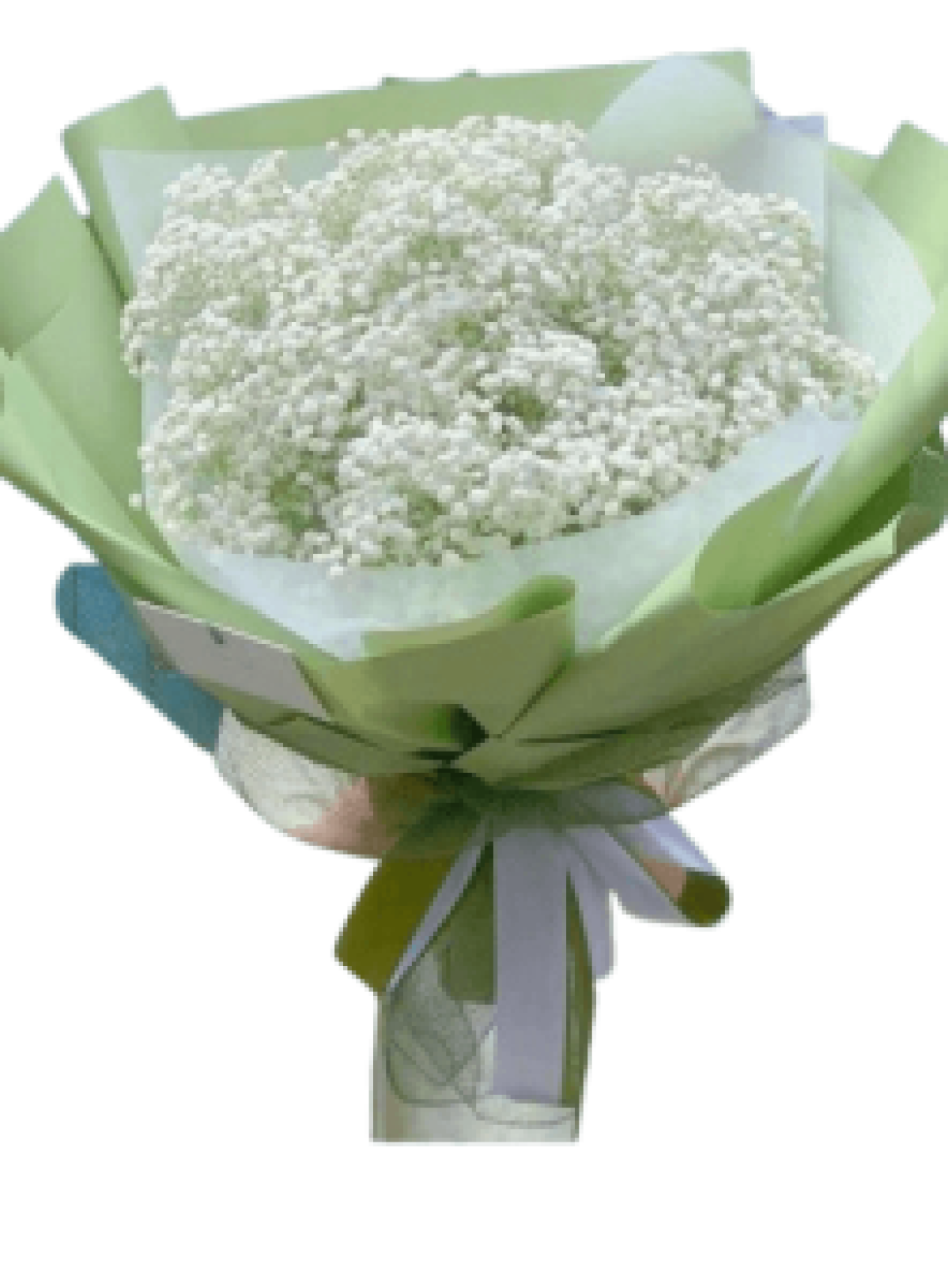 Hoa tươi - Hoa Giỏ - Hoa Bó Mẫu (TVF-HG-HB-012)