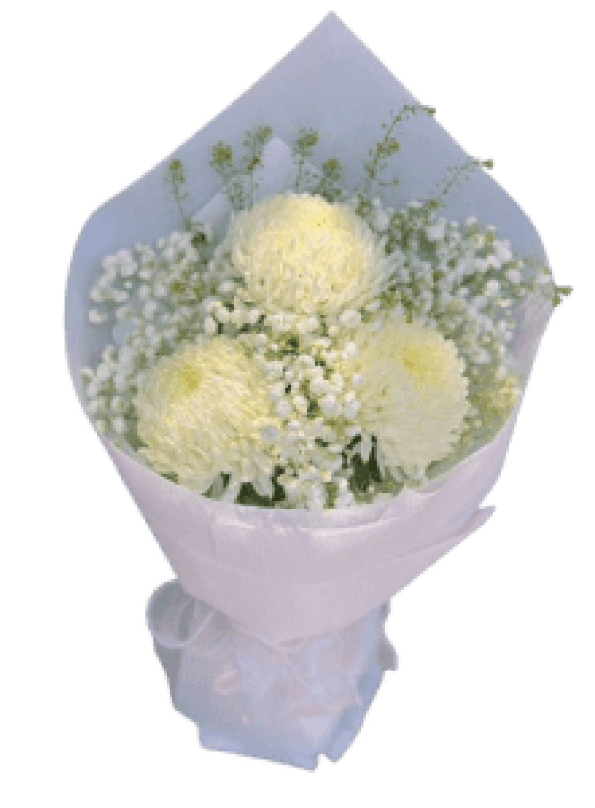 Hoa tươi - Hoa Giỏ - Hoa Bó Mẫu (TVF-HG-HB-048)