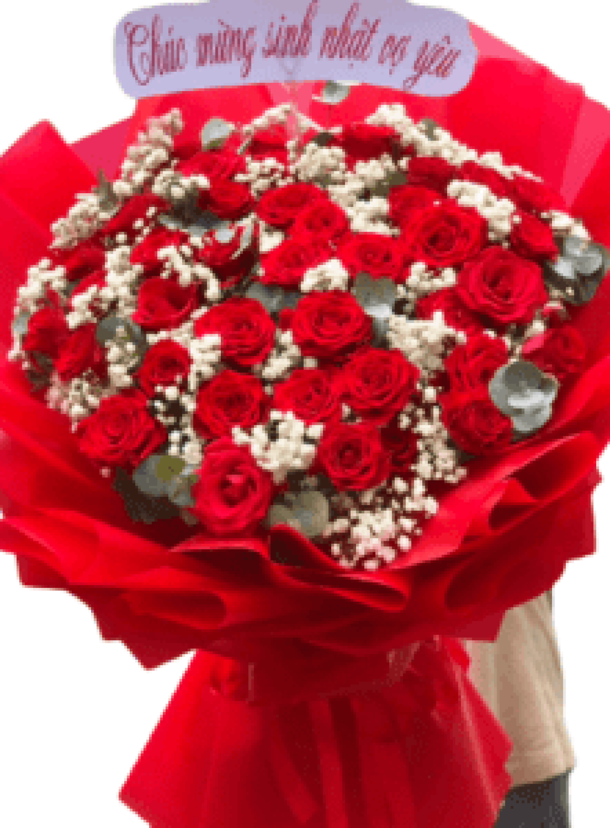 Hoa tươi - Hoa Giỏ - Hoa Bó Mẫu (TVF-HG-HB-053)