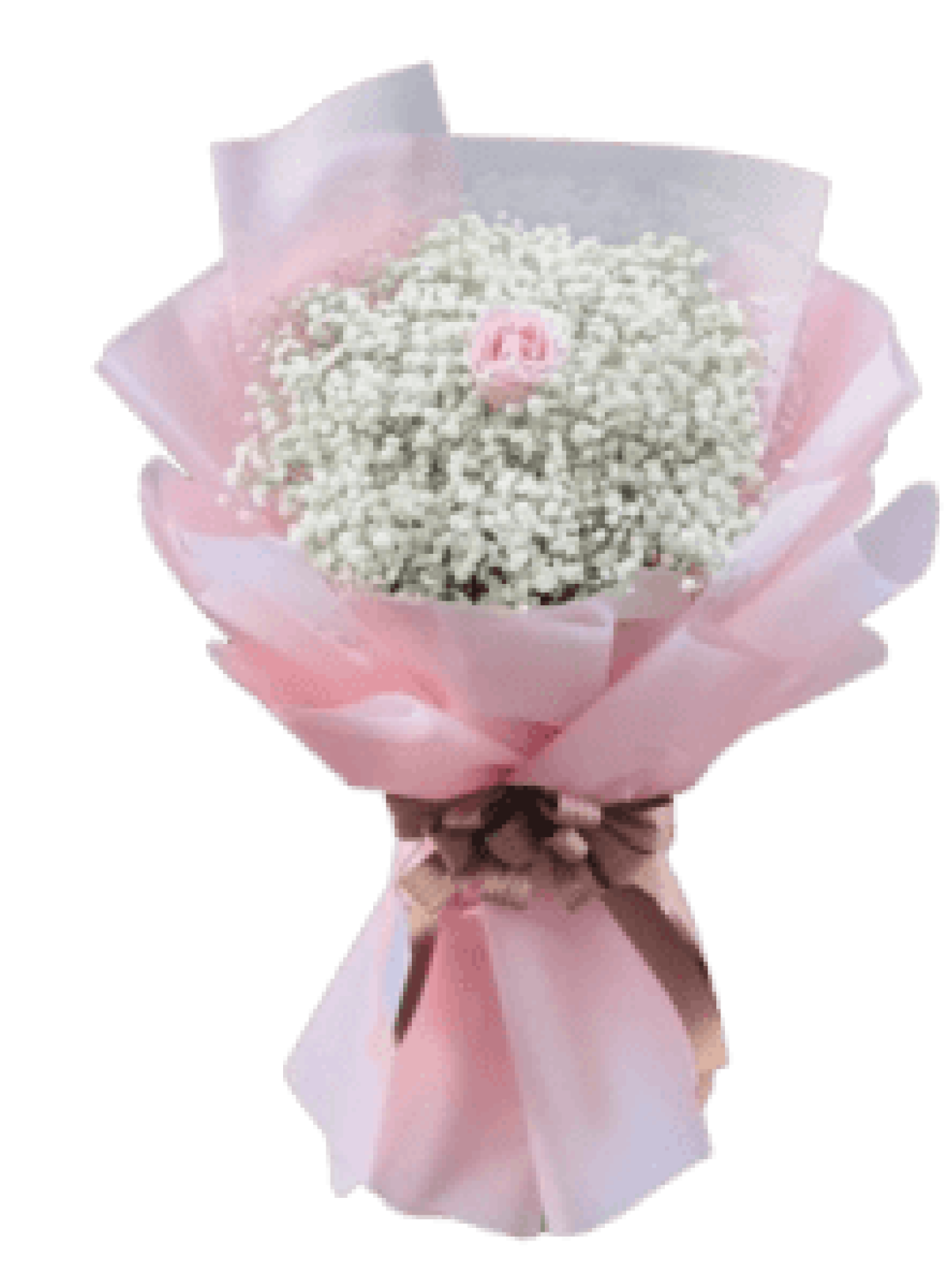 Bó Hoa Chúc Mừng HS08