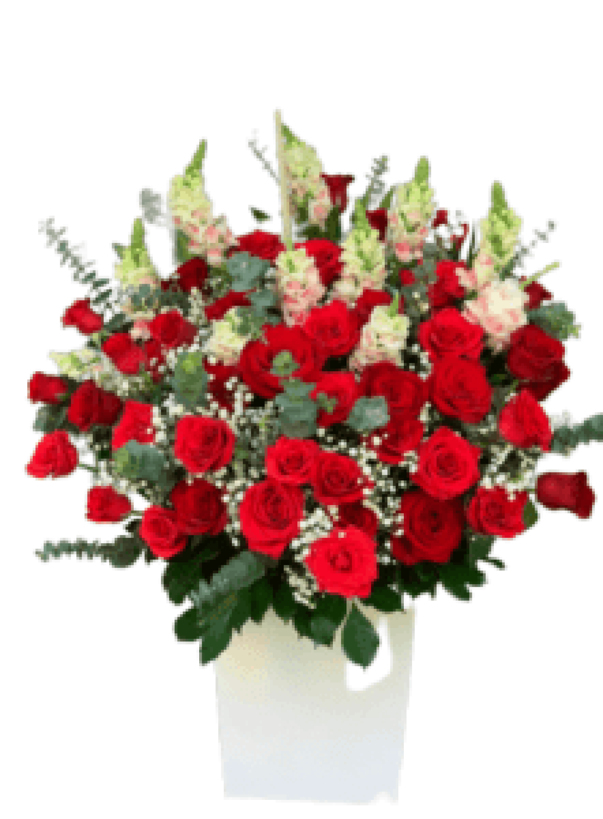 Hoa tươi - hoa sinh nhật Mẫu (TVF-HSN-062)