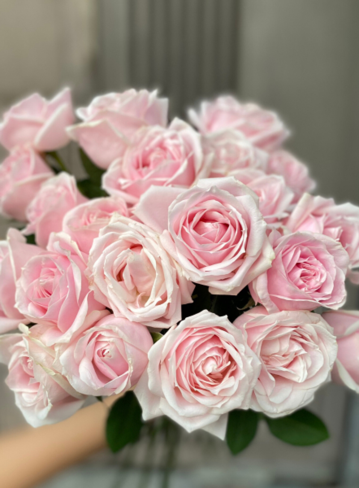 Hoa Tươi Dâu Đỏ