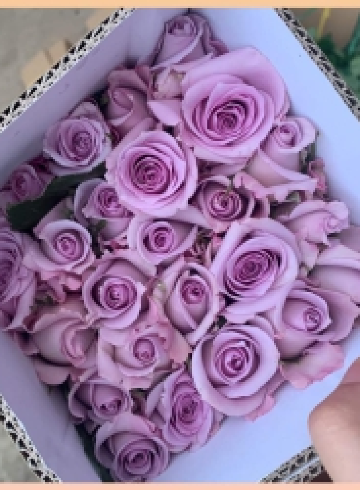 Hoa Tươi - Tím -513