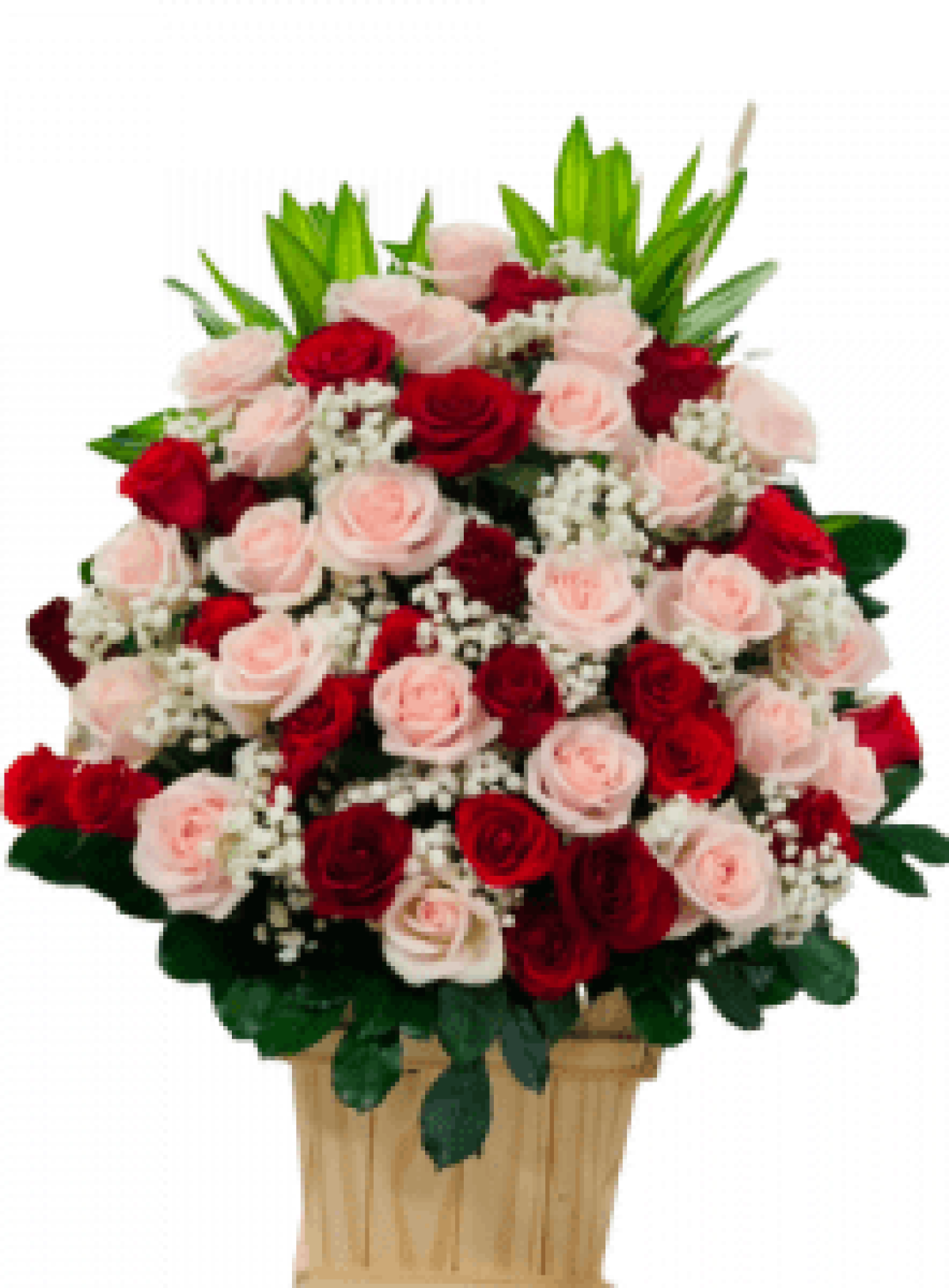 Hoa tươi - hoa sinh nhật Mẫu (TVF-HSN-082)