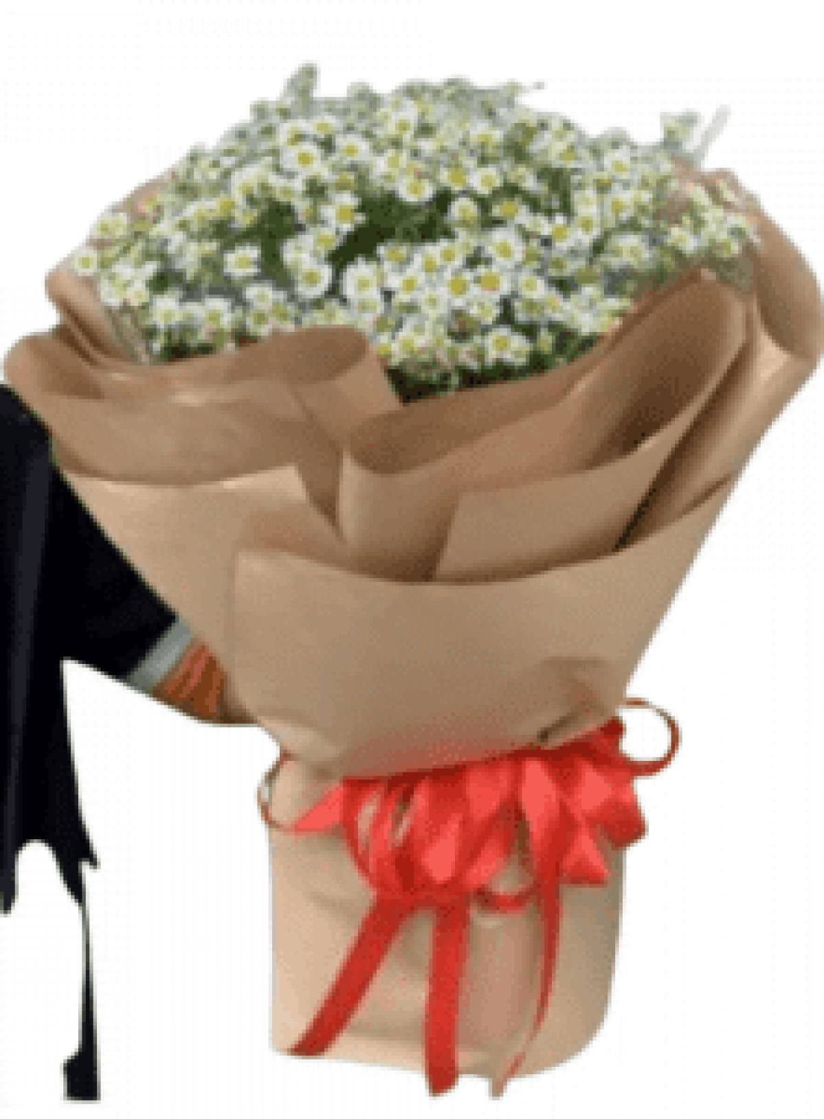 Hoa tươi - hoa sinh nhật Mẫu (TVF-HSN-086)