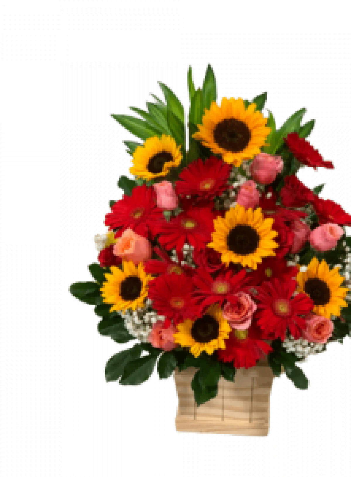 Hoa tươi - hoa sinh nhật Mẫu (TVF-HSN-091)