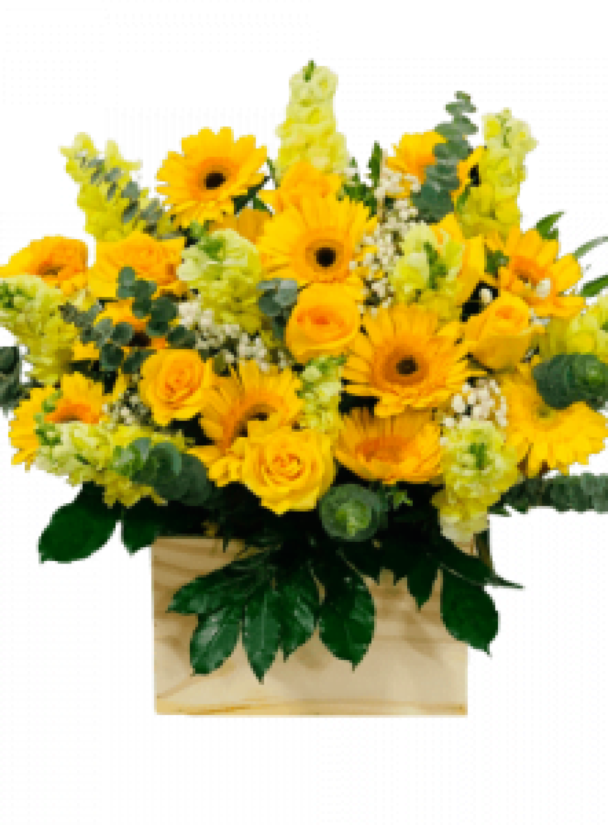 Hoa tươi - hoa sinh nhật Mẫu (TVF-HSN-098)