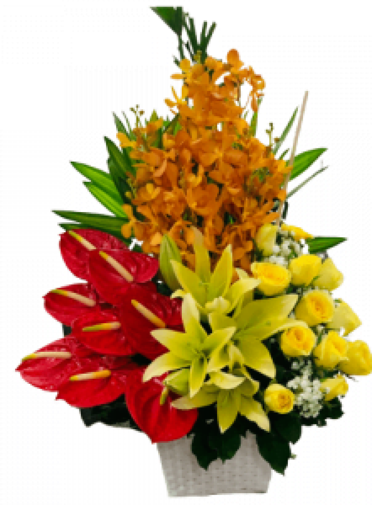 Hoa tươi - hoa sinh nhật Mẫu (TVF-HSN-104)