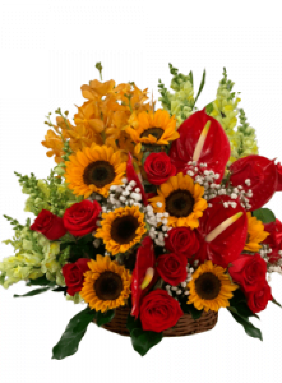 Hoa tươi - hoa sinh nhật Mẫu (TVF-HSN-105)