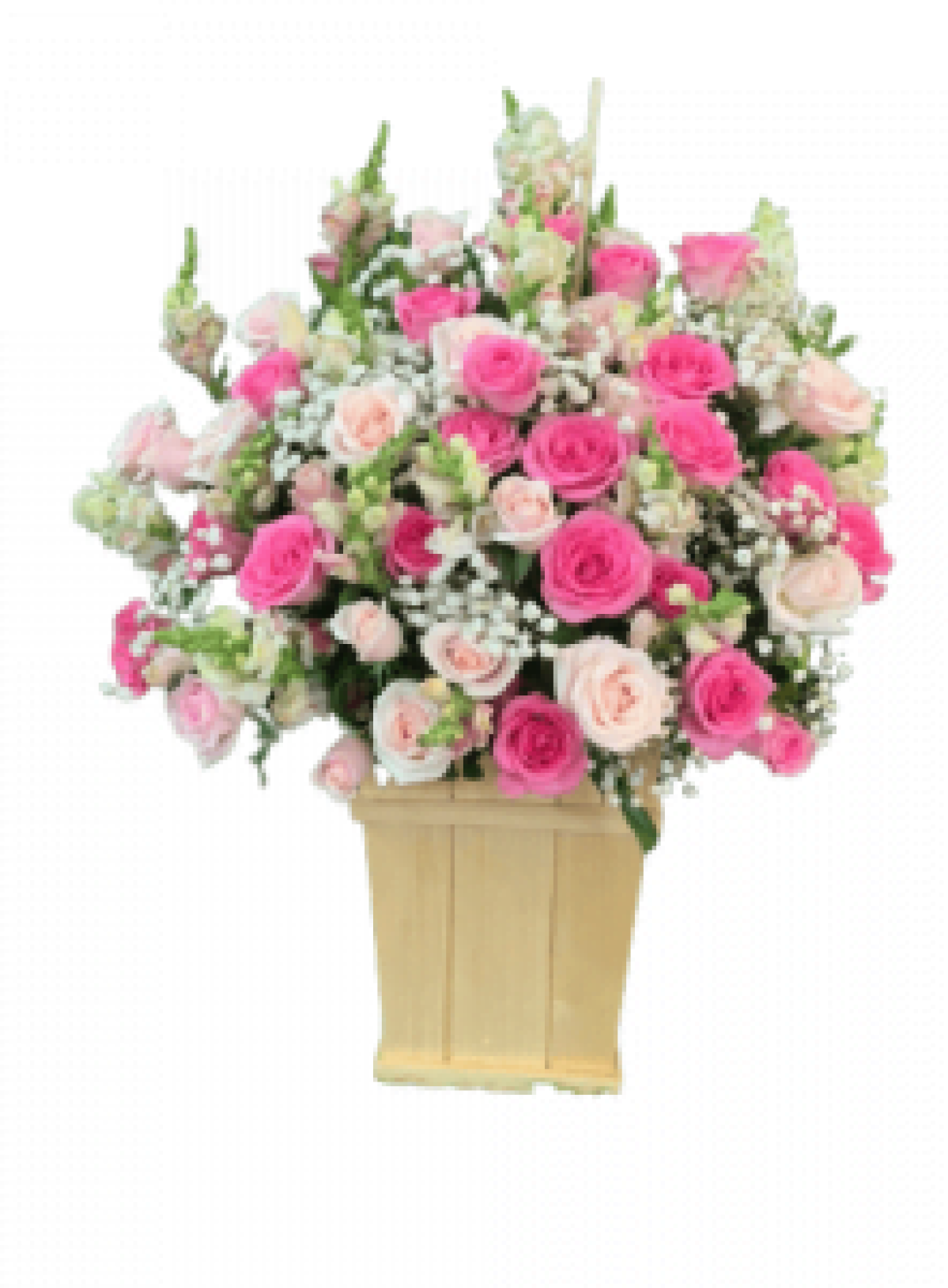 Hoa tươi - hoa sinh nhật Mẫu (TVF-HSN-106)