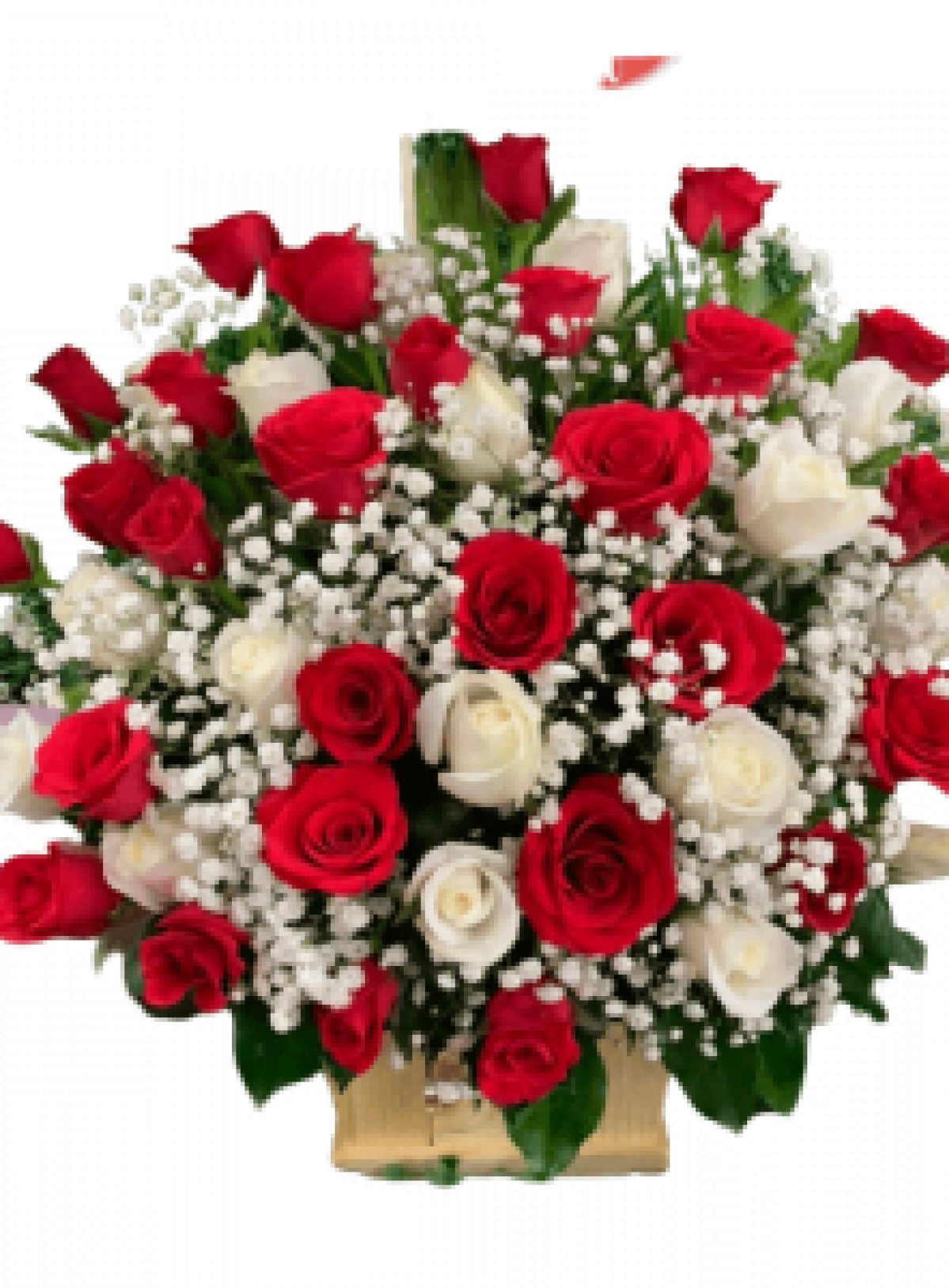 Hoa tươi - hoa sinh nhật Mẫu (TVF-HSN-107)