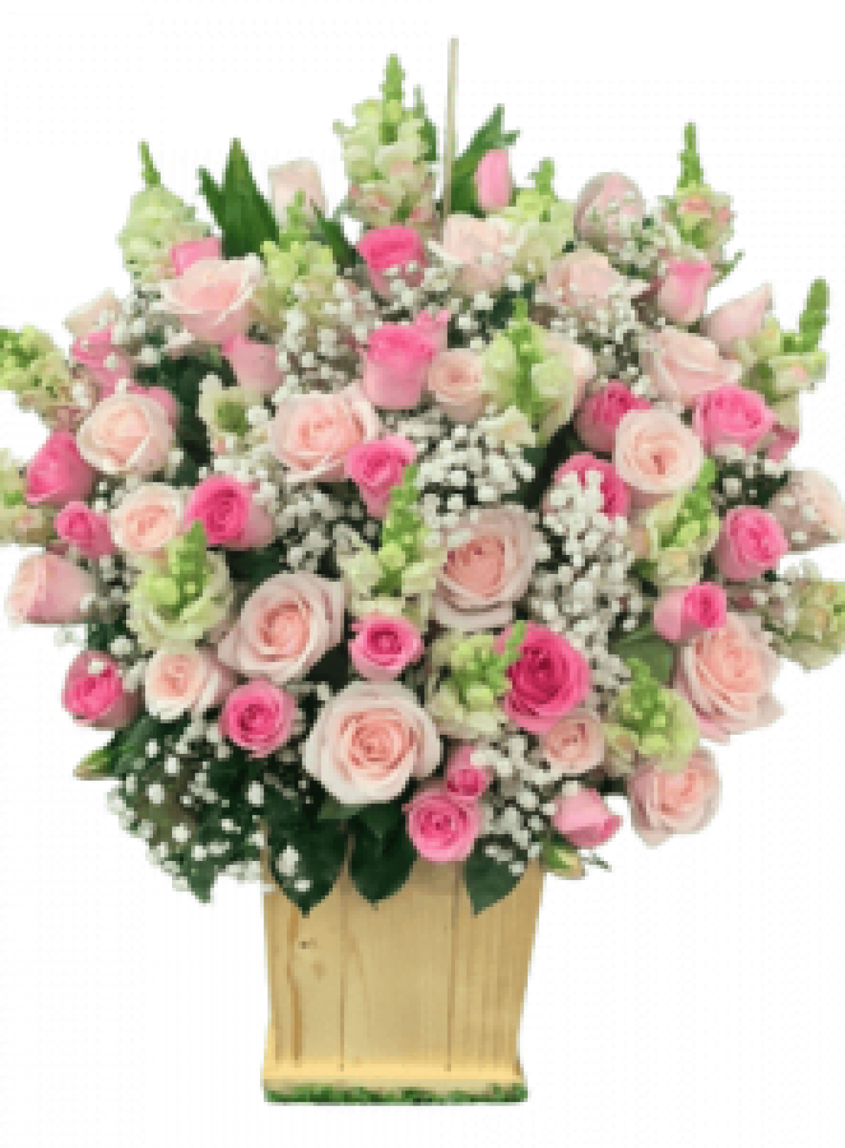 Hoa tươi - hoa sinh nhật Mẫu (TVF-HSN-108)