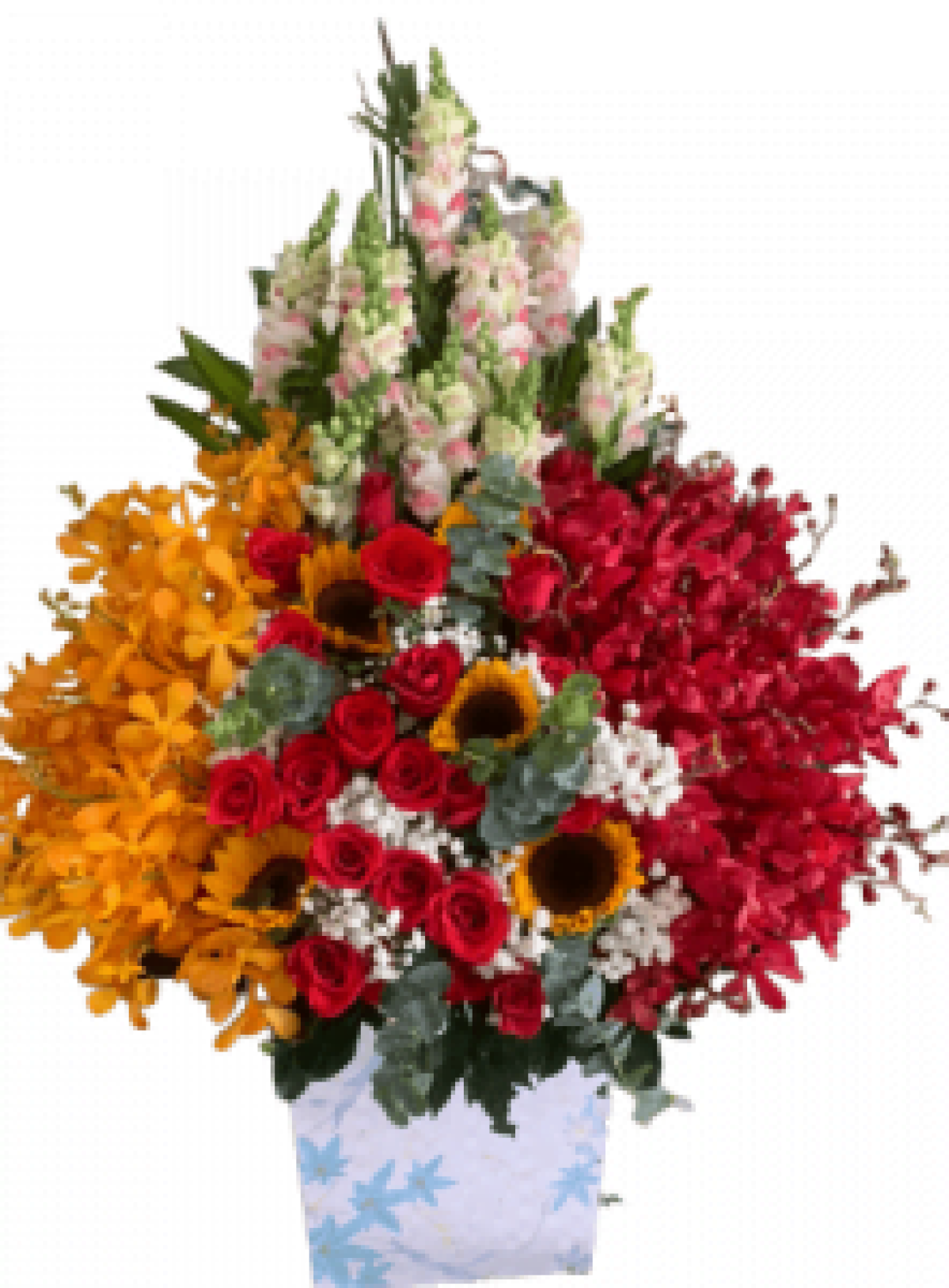 Hoa tươi - hoa sinh nhật Mẫu (TVF-HSN-109)