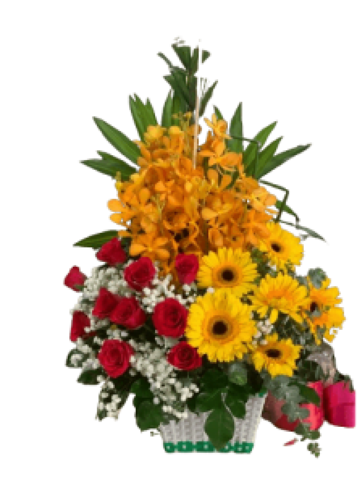 Hoa tươi - hoa sinh nhật Mẫu (TVF-HSN-111)