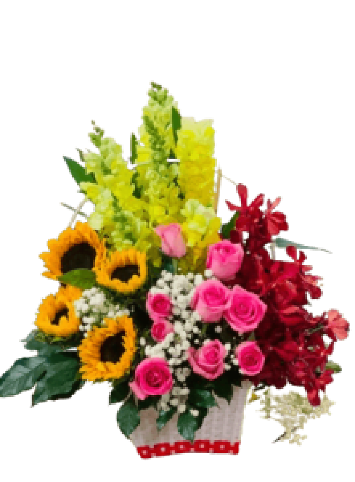 Hoa tươi - hoa sinh nhật Mẫu (TVF-HSN-113)