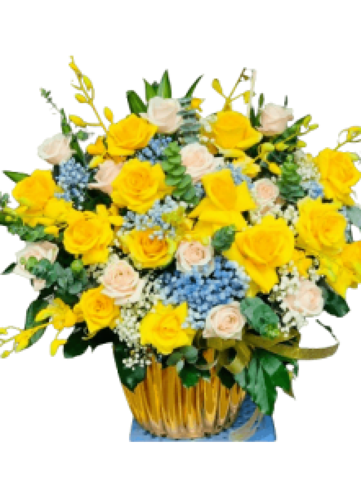 Hoa tươi - hoa sinh nhật Mẫu (TVF-HSN-116)