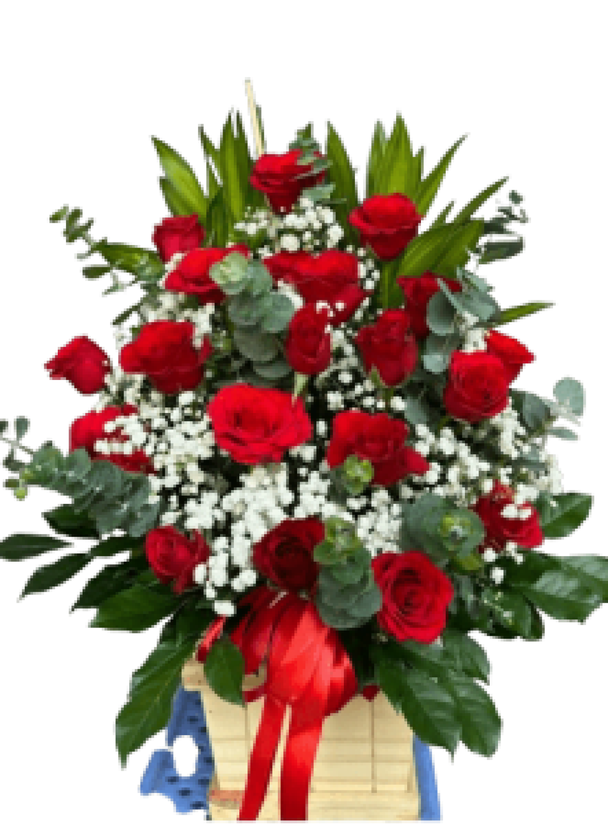 Hoa tươi - hoa sinh nhật Mẫu (TVF-HSN-117)