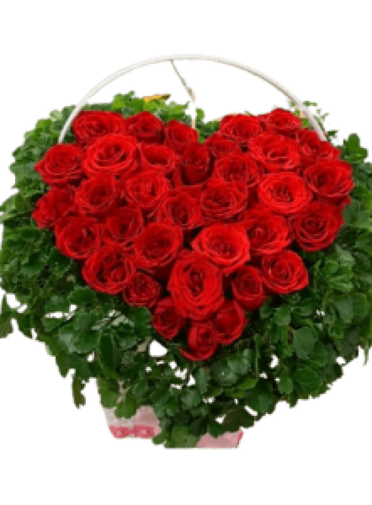 Hoa tươi - hoa sinh nhật Mẫu (TVF-HSN-119)