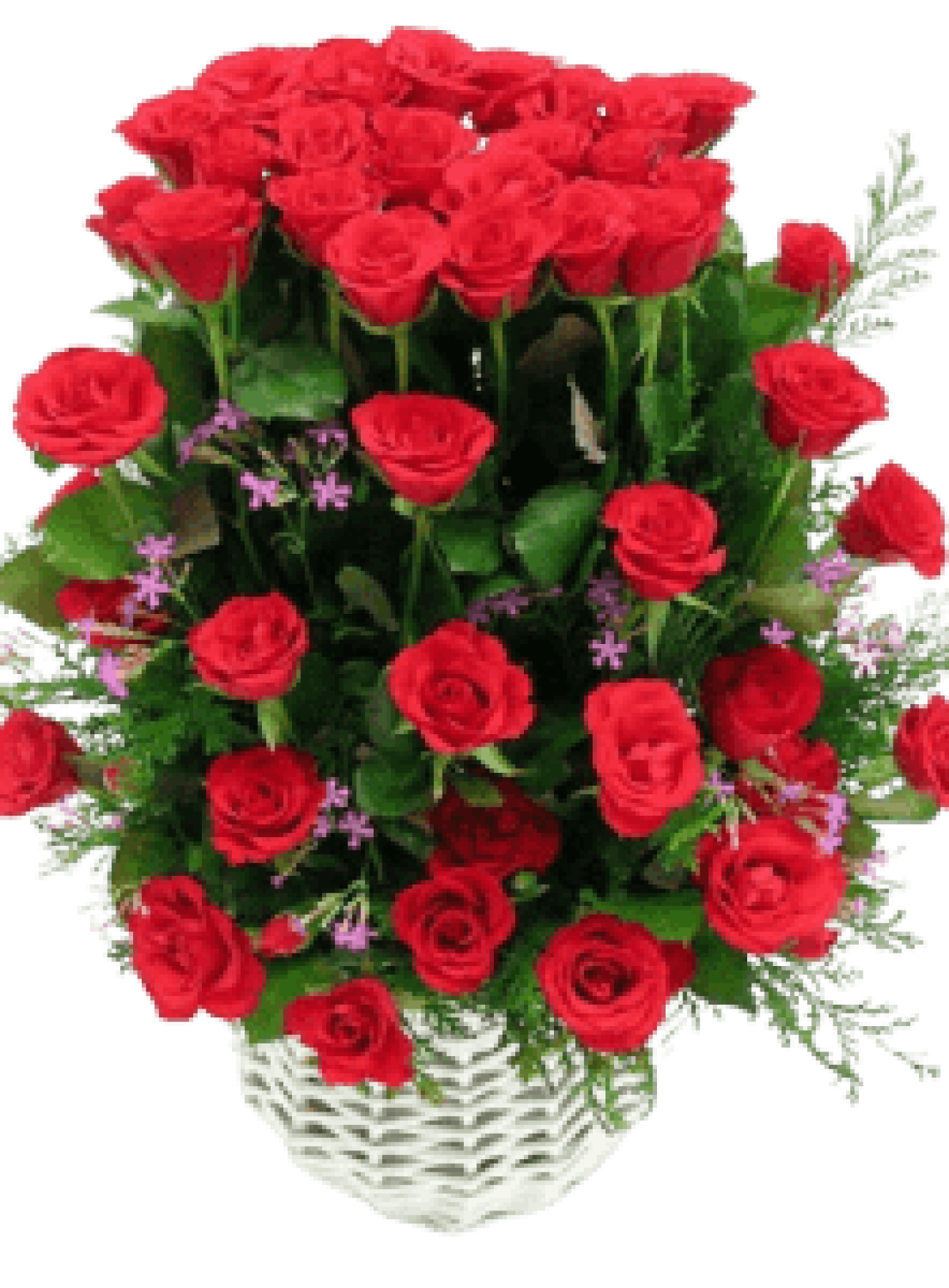 Hoa tươi - hoa sinh nhật Mẫu (TVF-HSN-124)