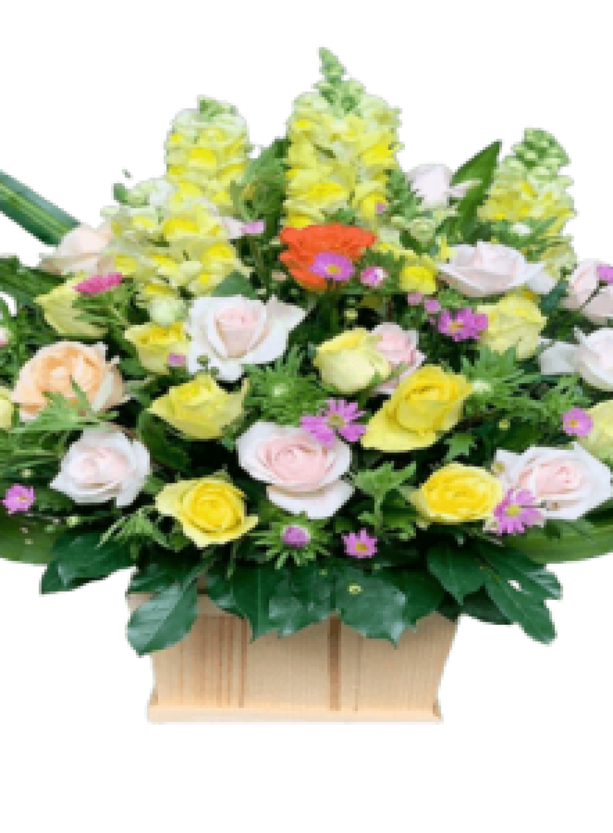 Hoa tươi - hoa sinh nhật Mẫu (TVF-HSN-126)