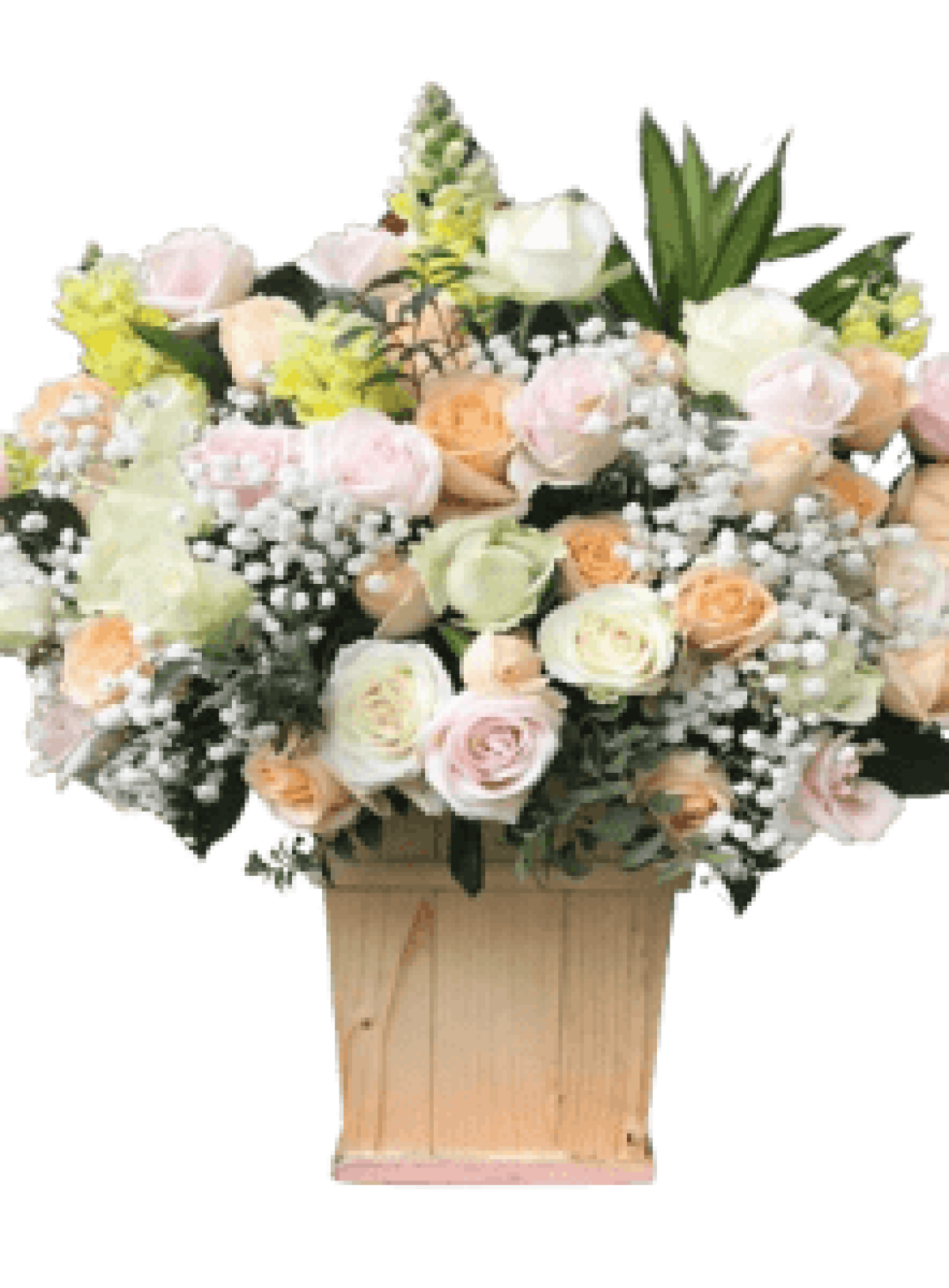 Hoa tươi - hoa sinh nhật Mẫu (TVF-HSN-127)