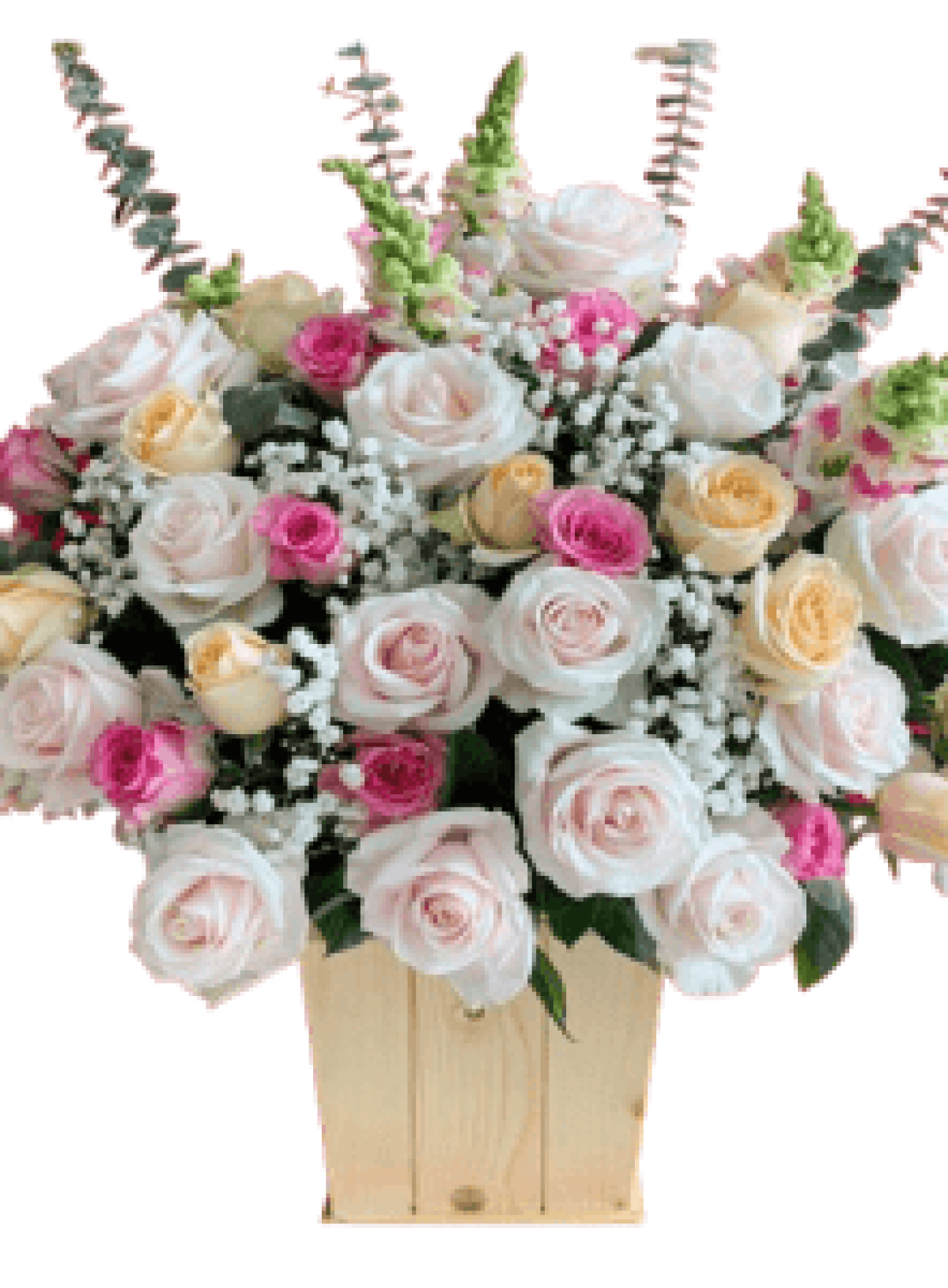 Hoa tươi - hoa sinh nhật Mẫu (TVF-HSN-129)