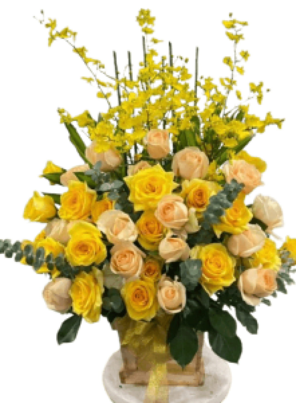 Hoa tươi - hoa sinh nhật Mẫu (TVF-HSN-130)