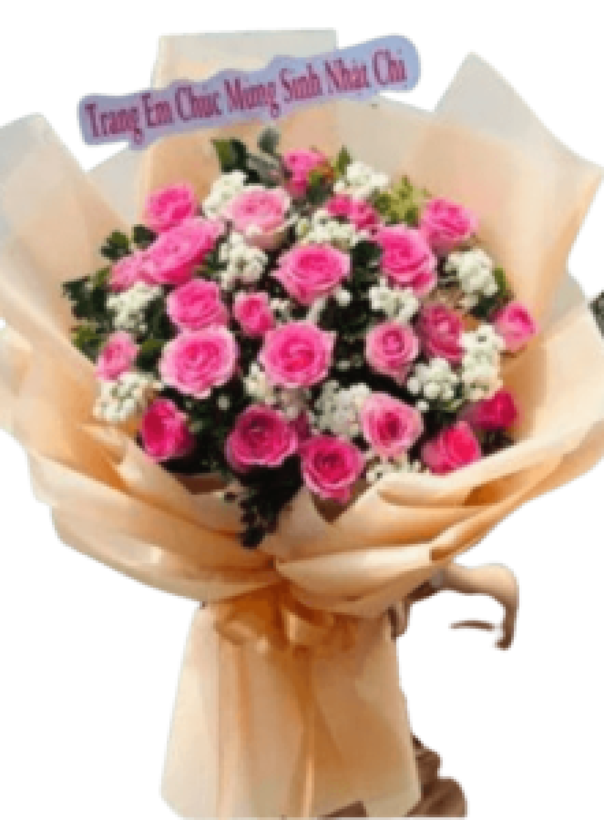 Hoa tươi - hoa sinh nhật Mẫu (TVF-HSN-139)