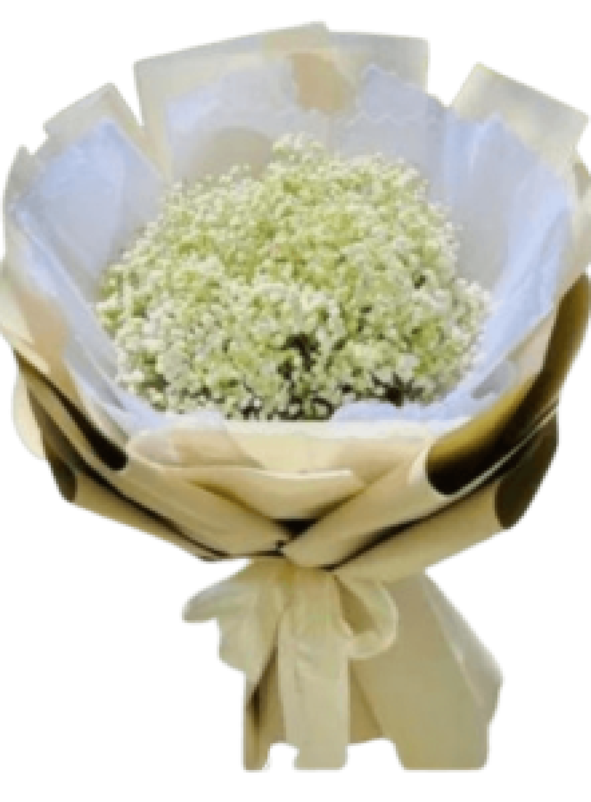 Hoa tươi - hoa sinh nhật Mẫu (TVF-HSN-142)