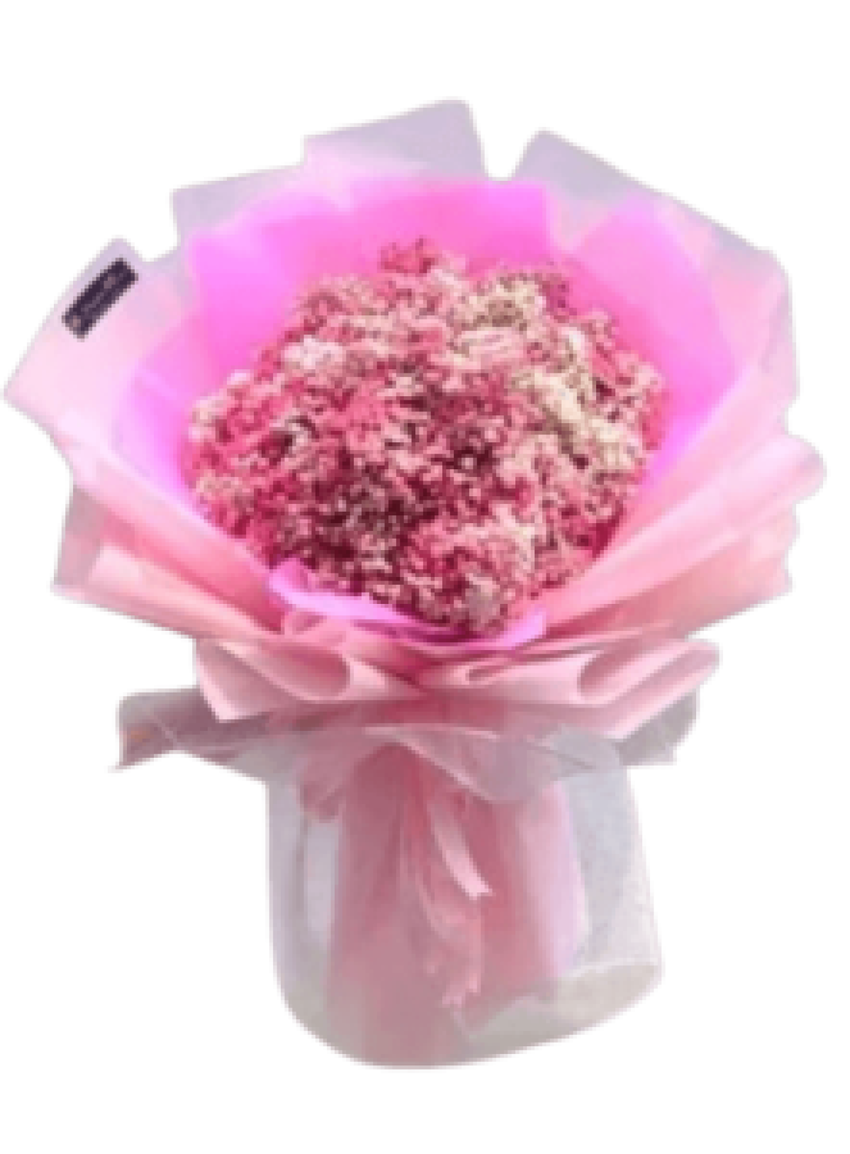 Hoa tươi - hoa sinh nhật Mẫu (TVF-HSN-143)