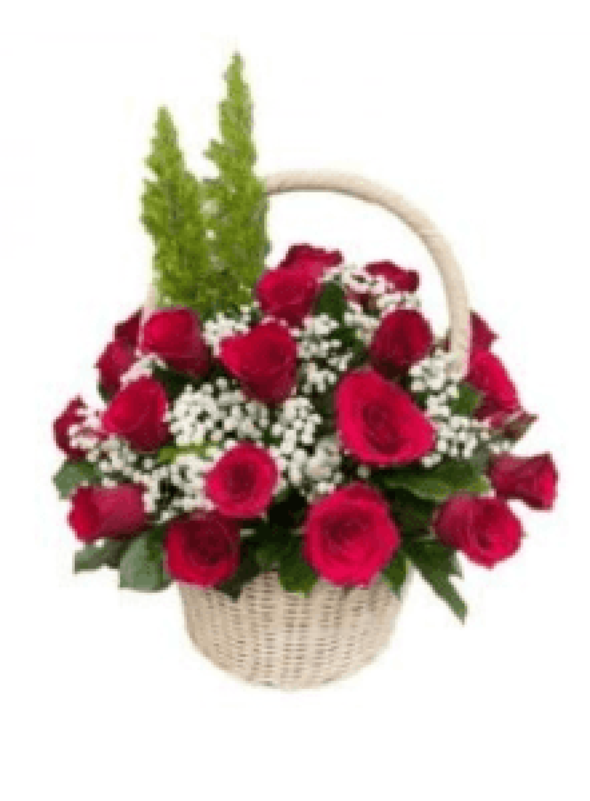 Hoa tươi - hoa sinh nhật Mẫu (TVF-HSN-144)