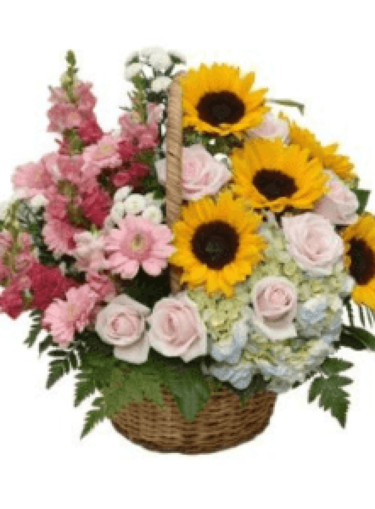 Hoa tươi - hoa sinh nhật Mẫu (TVF-HSN-145)