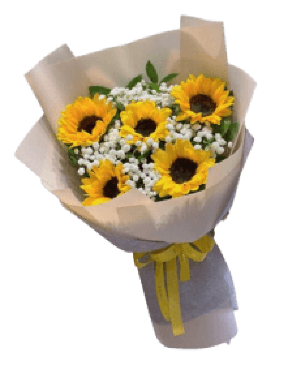 Hoa tươi - hoa sinh nhật Mẫu (TVF-HSN-147)