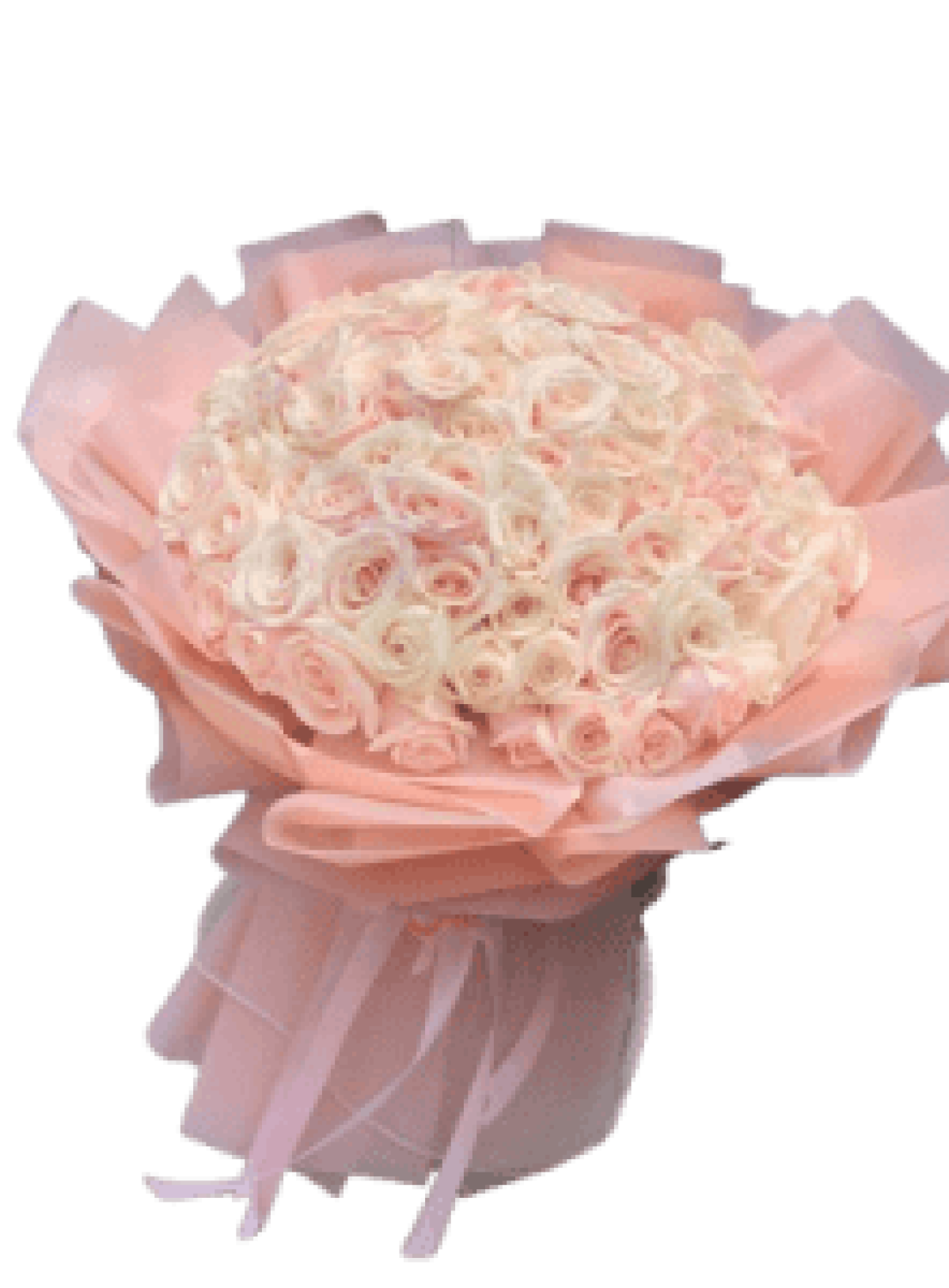 Hoa tươi - hoa sinh nhật Mẫu (TVF-HSN-166)