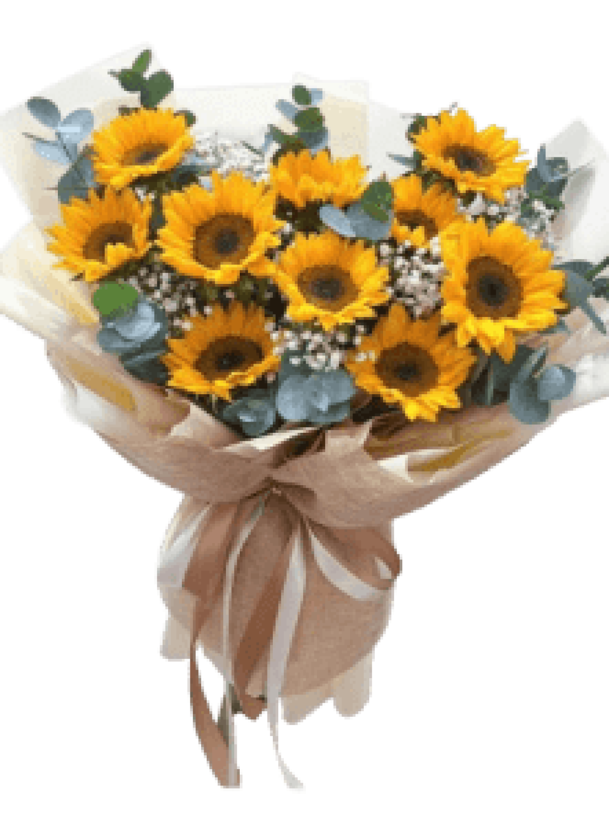 Hoa tươi - hoa sinh nhật Mẫu (TVF-HSN-168)