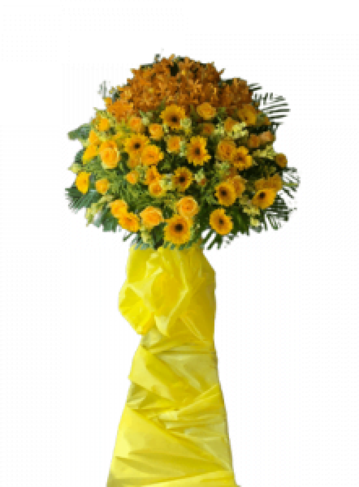 Hoa khai trương - Chúc Mừng - MẪU (TVF-KT-CM-012)