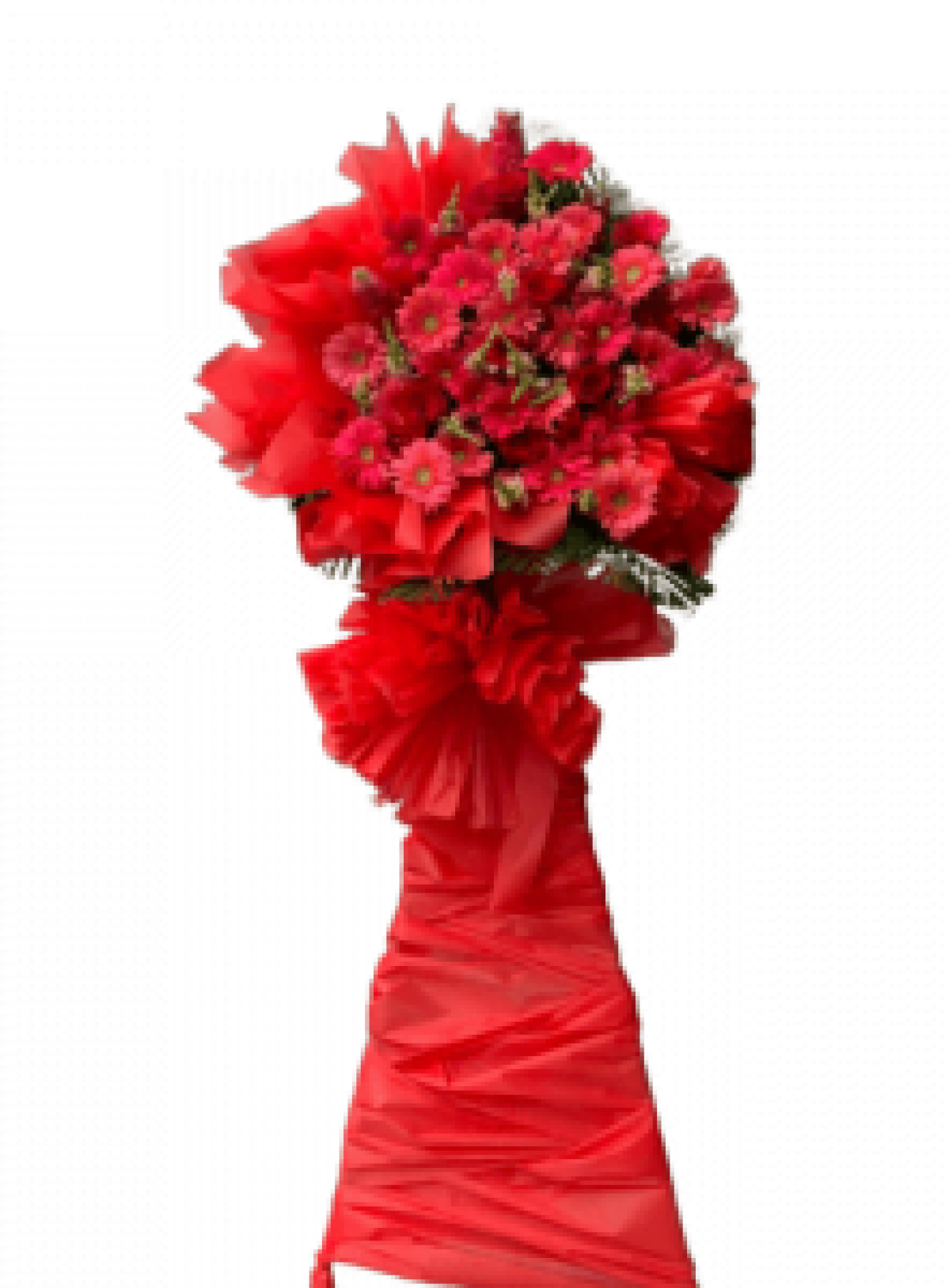 Hoa khai trương - Chúc Mừng - MẪU (TVF-KT-CM-013)