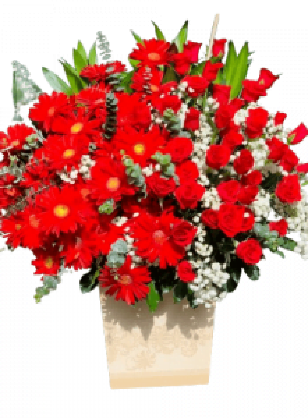 Hoa khai trương - Chúc Mừng - MẪU (TVF-KT-CM-031)