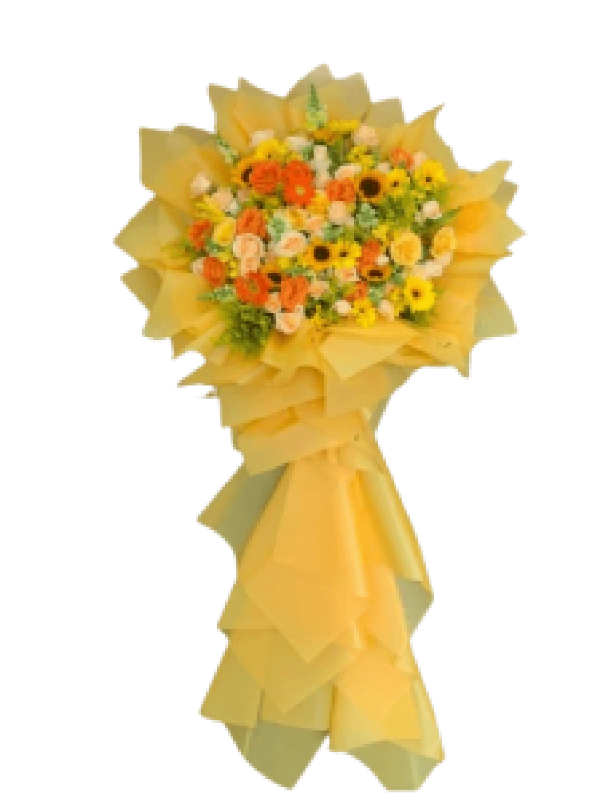 Hoa khai trương - Chúc Mừng - MẪU (TVF-KT-CM-033)