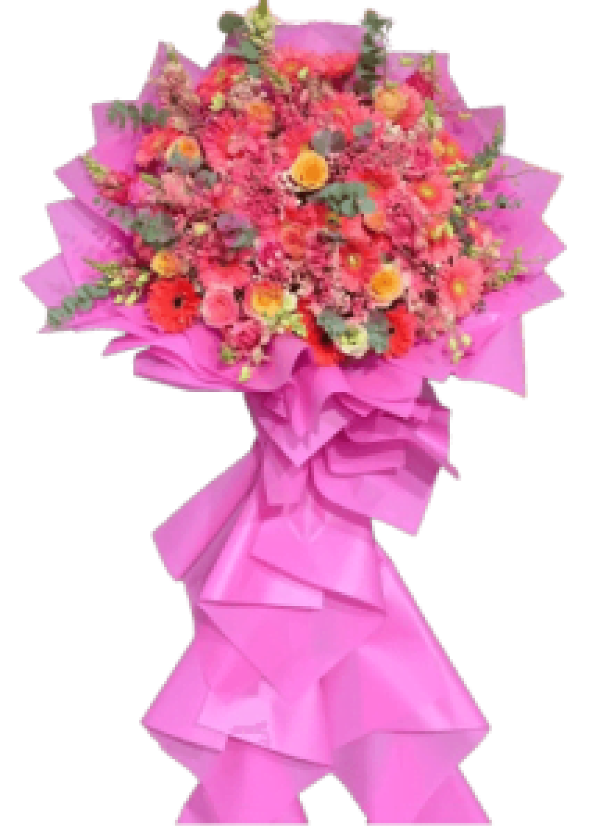 Hoa khai trương - Chúc Mừng - MẪU (TVF-KT-CM-045)