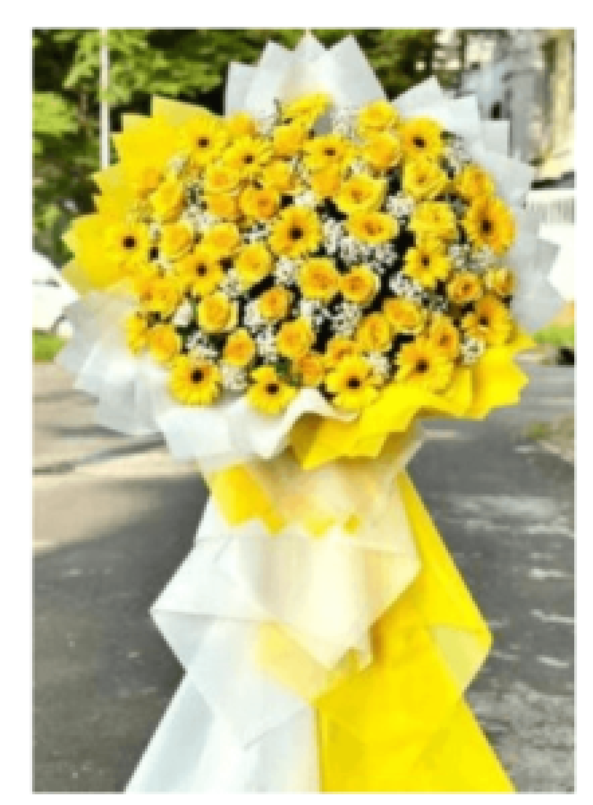 Hoa khai trương - Chúc Mừng - MẪU (TVF-KT-CM-054)