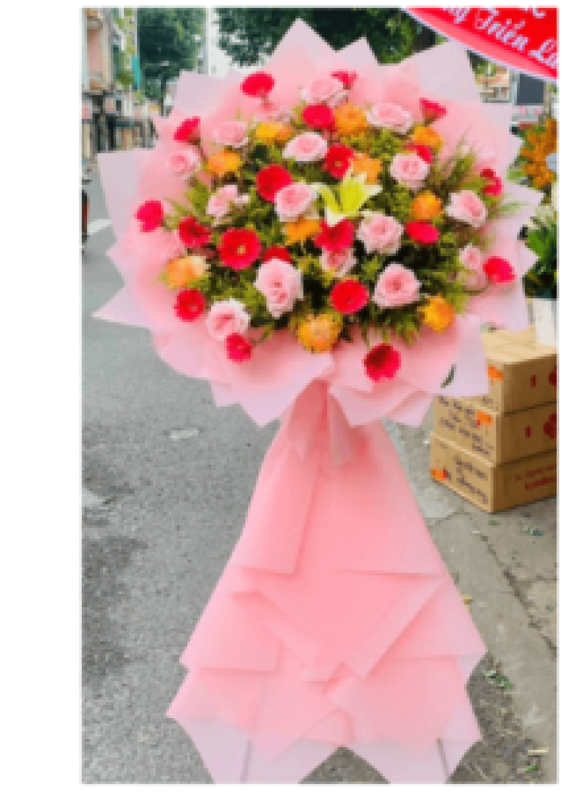 Hoa khai trương - Chúc Mừng - MẪU (TVF-KT-CM-055)