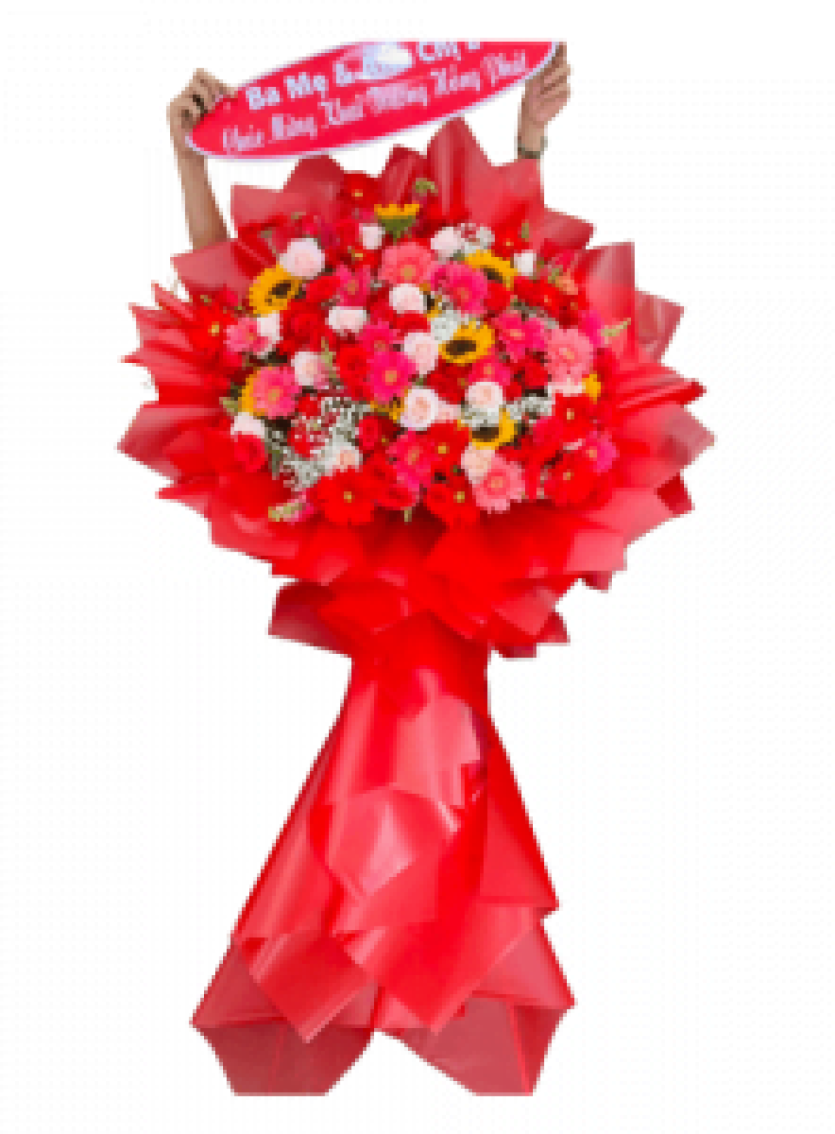 Hoa khai trương - Chúc Mừng - MẪU (TVF-KT-CM-076)