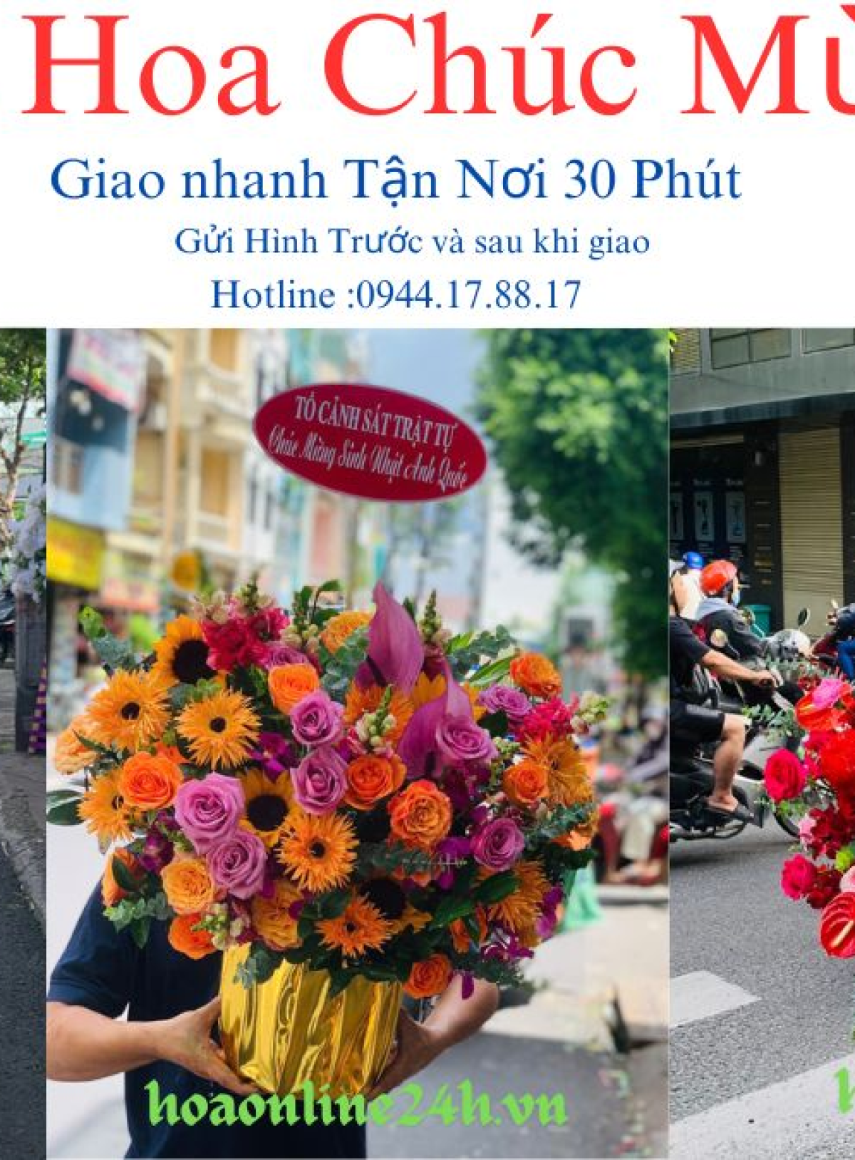 Hoa khai trương - Chúc Mừng - MẪU (TVF-KT-CM-078)