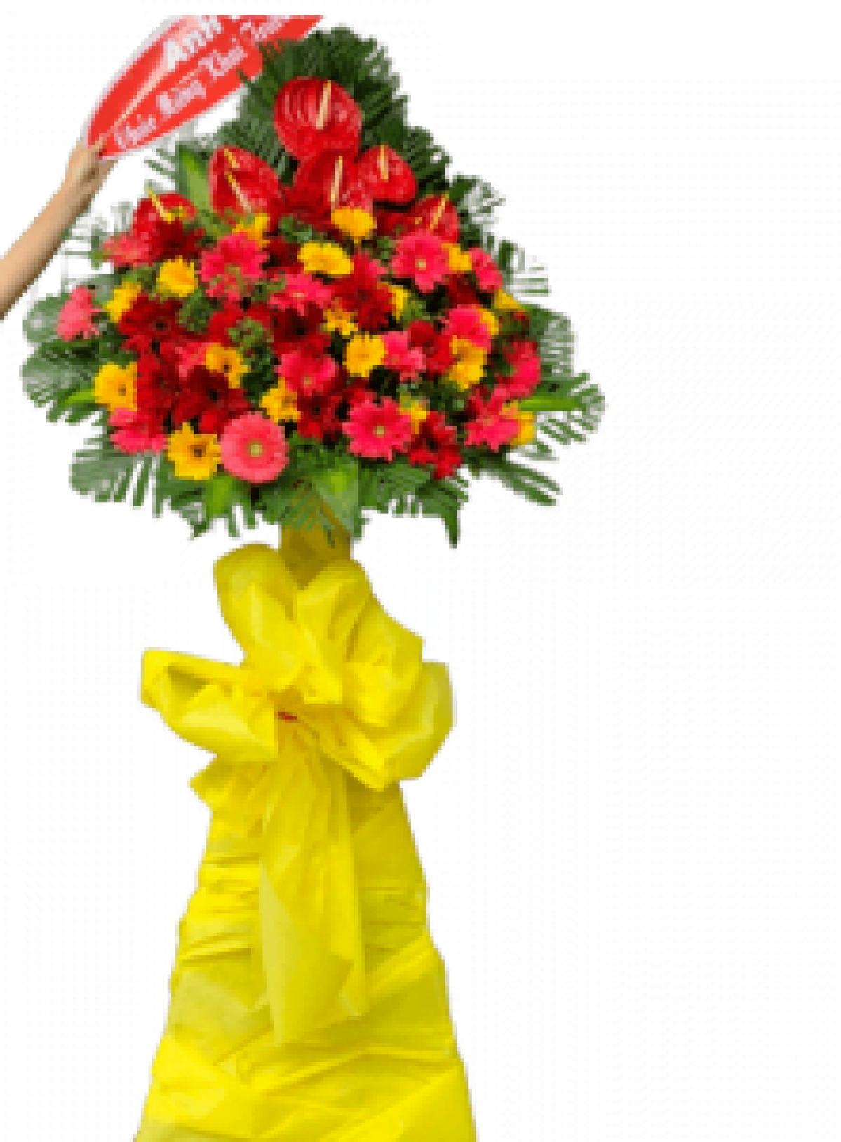 Hoa khai trương - Chúc Mừng - MẪU (TVF-KT-CM-080)