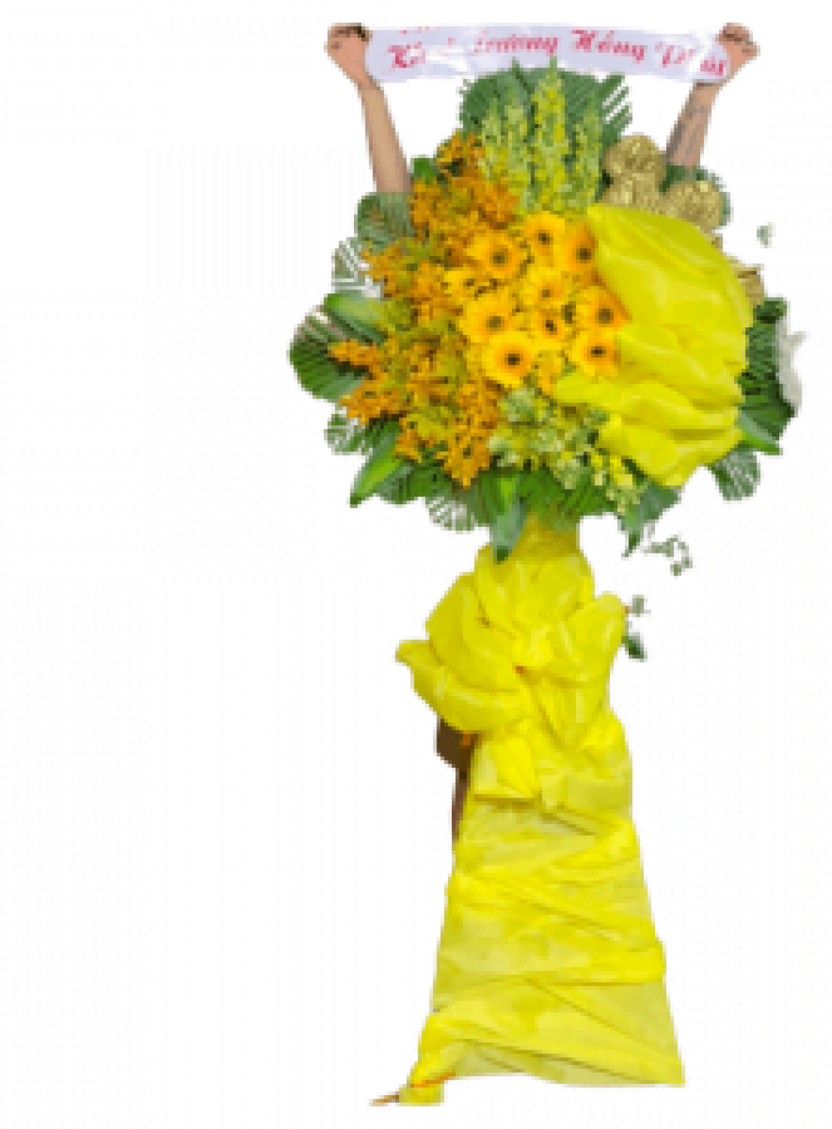 Hoa khai trương - Chúc Mừng - MẪU (TVF-KT-CM-081)