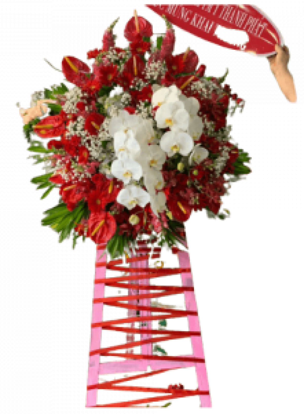 Hoa khai trương - Chúc Mừng - MẪU (TVF-KT-CM-083)