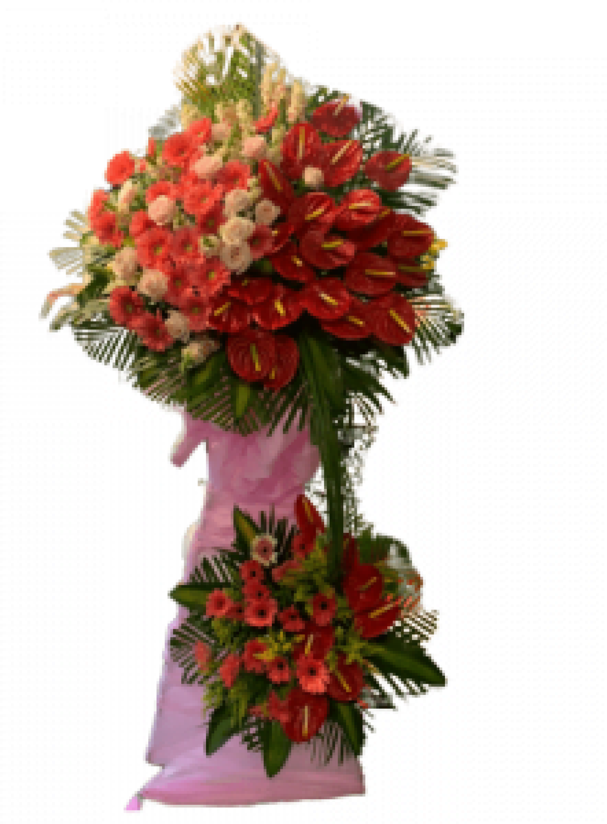 Hoa khai trương - Chúc Mừng - MẪU (TVF-KT-CM-084)